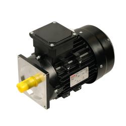 Электродвигатель гидростанции Bucher для TS-26D