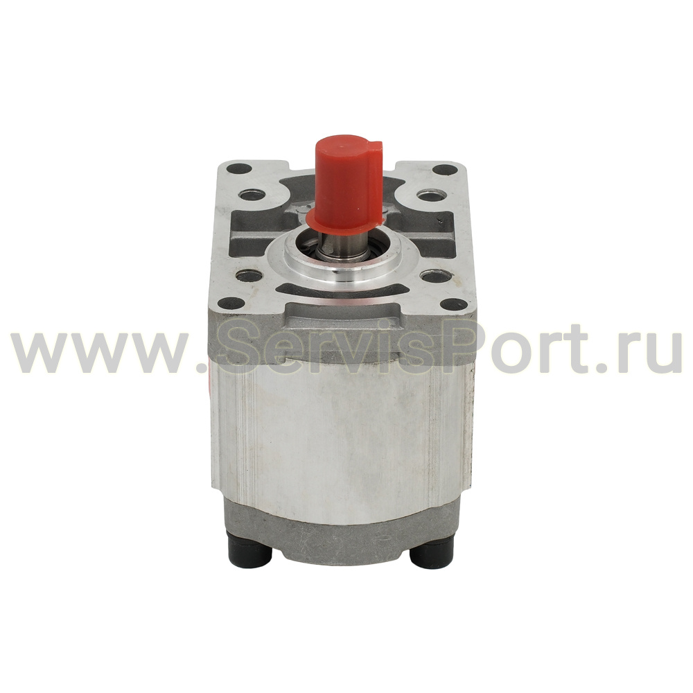 Насос в/д для гидростанции CBN-F310, 20MPa фото