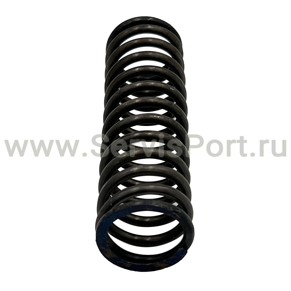 Пружина С321М-01009 фото