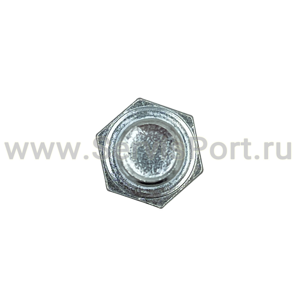 Болт прижимной штока платформы TS52D (148) фото