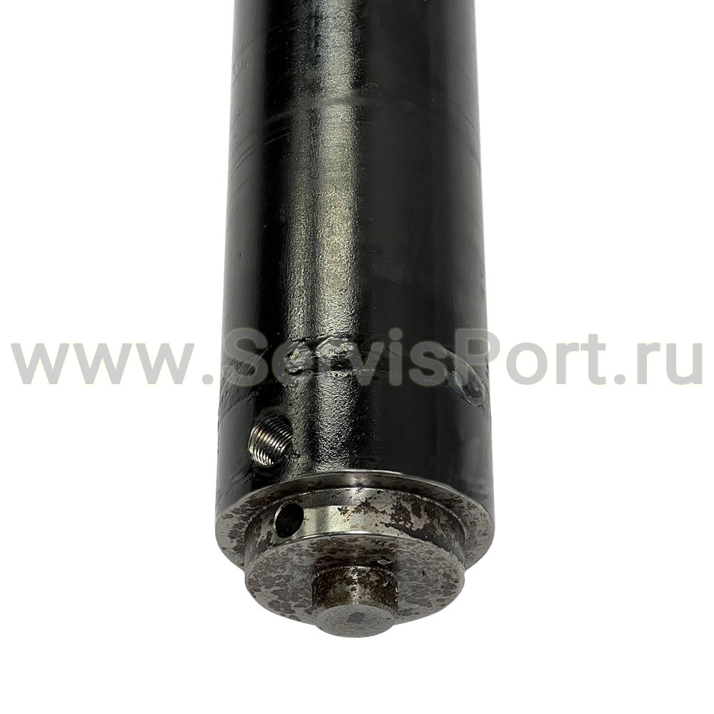 Гидроцилиндр TS-5 фото