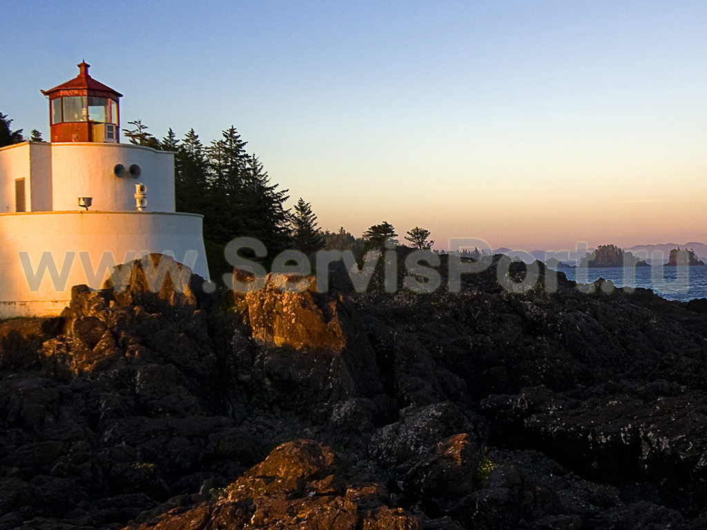 Ниппель (100шт. в упаковке) фото